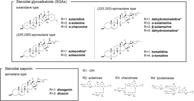 Figure 5. Several kinds of triterpenoid compound are shown. *shows the compound that was not tested in this study.