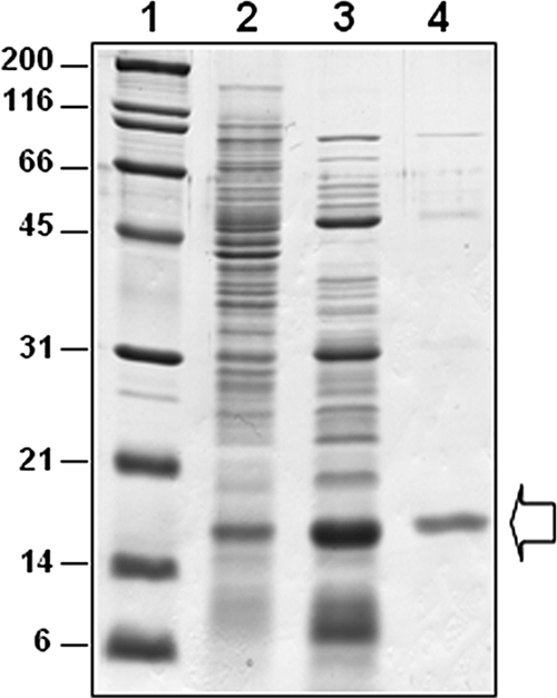 FIG. 6.