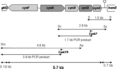 FIG. 3.