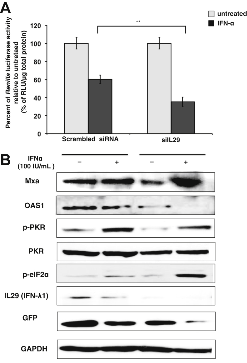 Figure 5