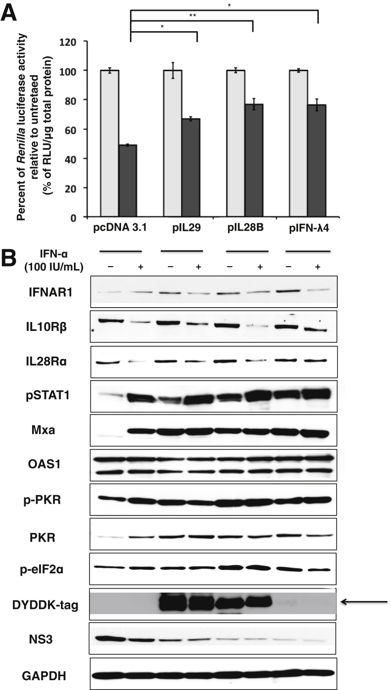 Figure 7