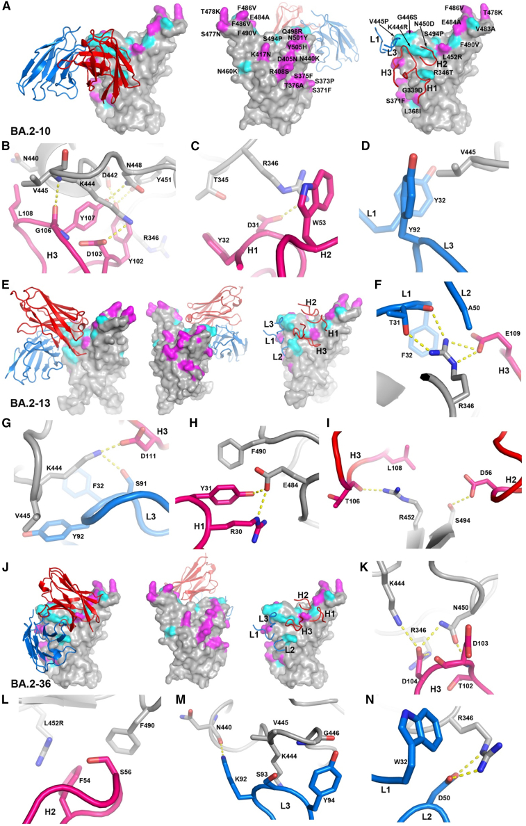 Figure 6