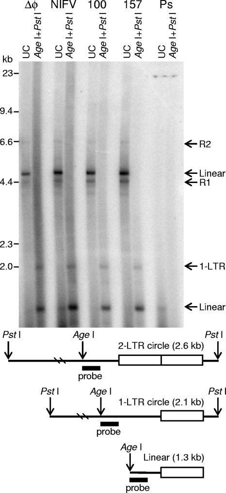 FIG. 2.