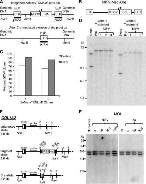 FIG. 6.