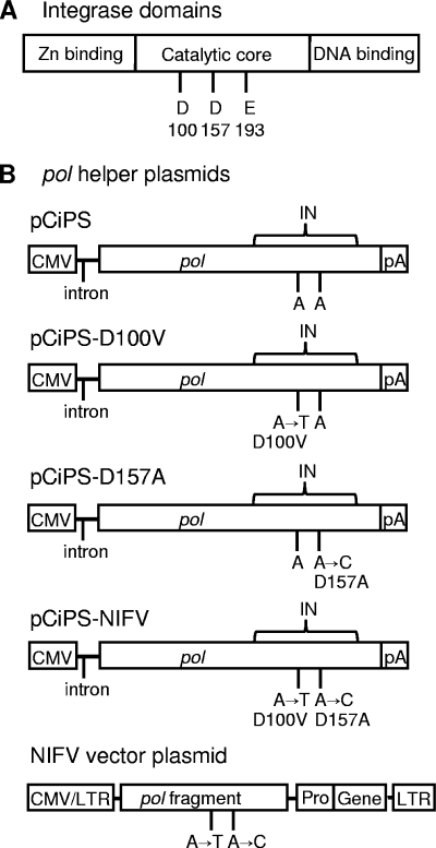 FIG. 1.