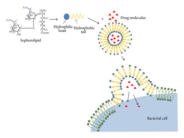 Figure 5