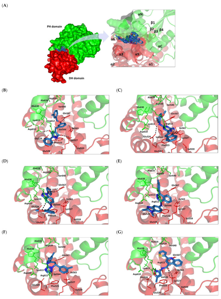 Figure 11