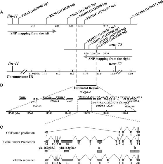 Figure 1.—