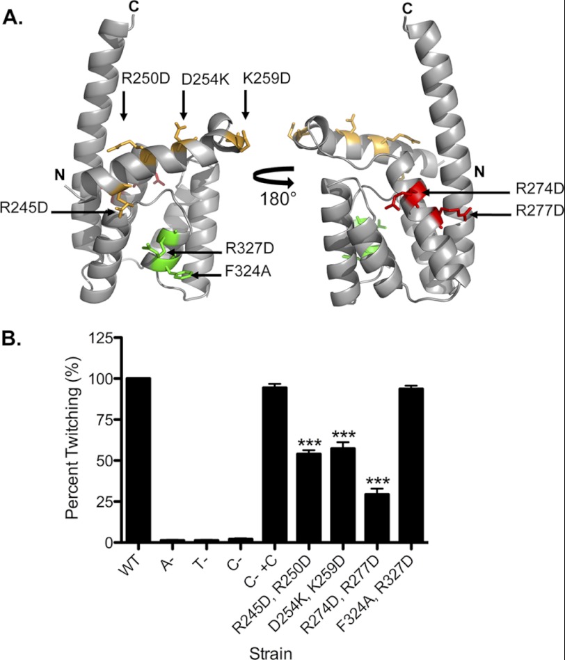 FIGURE 6.