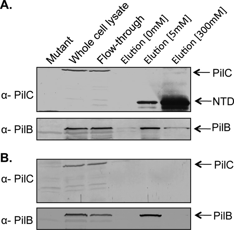 FIGURE 4.