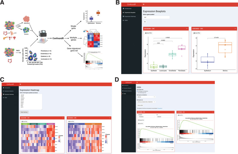 Figure 3. The ConfoundR resource enables stromal influence estimation in cancer tissue. A, Schematic overview of the cohorts and analyses available within the ConfoundR app, accessible via https://confoundr.qub.ac.uk/. B, Expression Boxplots analysis module of ConfoundR enabling the expression of a single gene to be compared between stroma and epithelium samples in each of the ConfoundR datasets. C, Expression Heatmap analysis module of ConfoundR enabling the expression of multiple genes to be visually compared between stroma and epithelium samples in each of the ConfoundR datasets. D, GSEA analysis module of ConfoundR allowing GSEA of existing gene sets from established gene set collections or custom user defined gene sets to be performed comparing stroma with epithelium in each of the ConfoundR datasets.