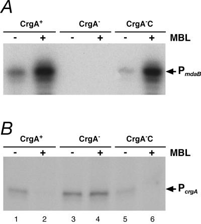 FIG. 5.