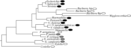 Figure 1.