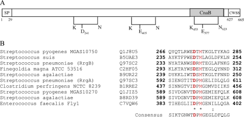 FIGURE 4.