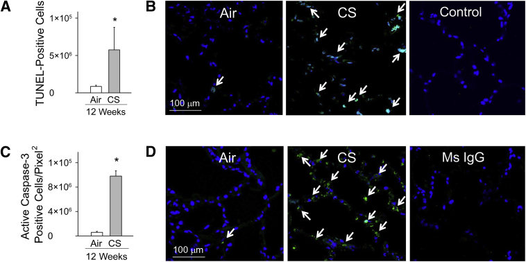 Figure 7