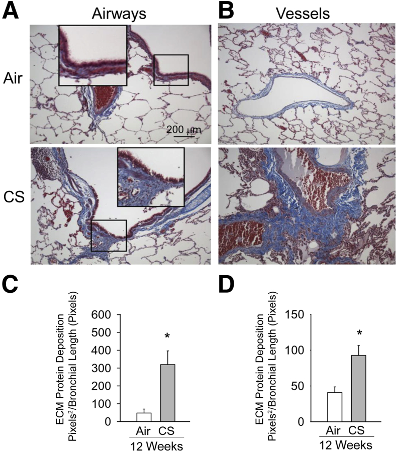 Figure 5