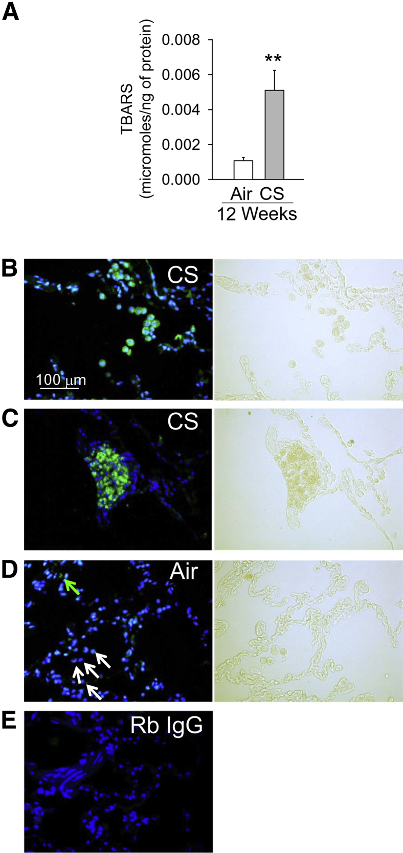 Figure 6