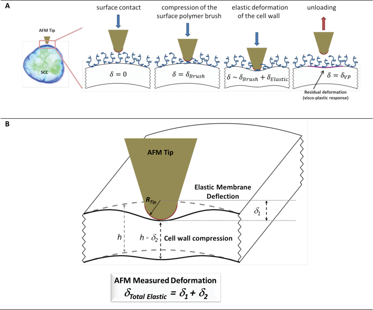 Fig. 3.