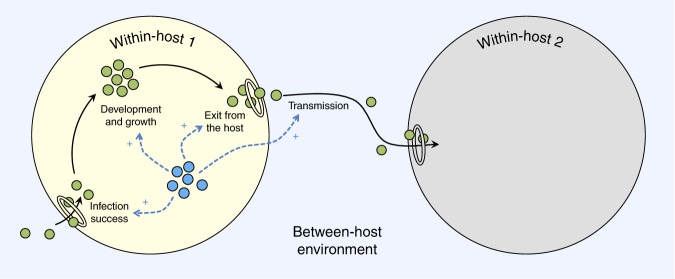 Fig. 2