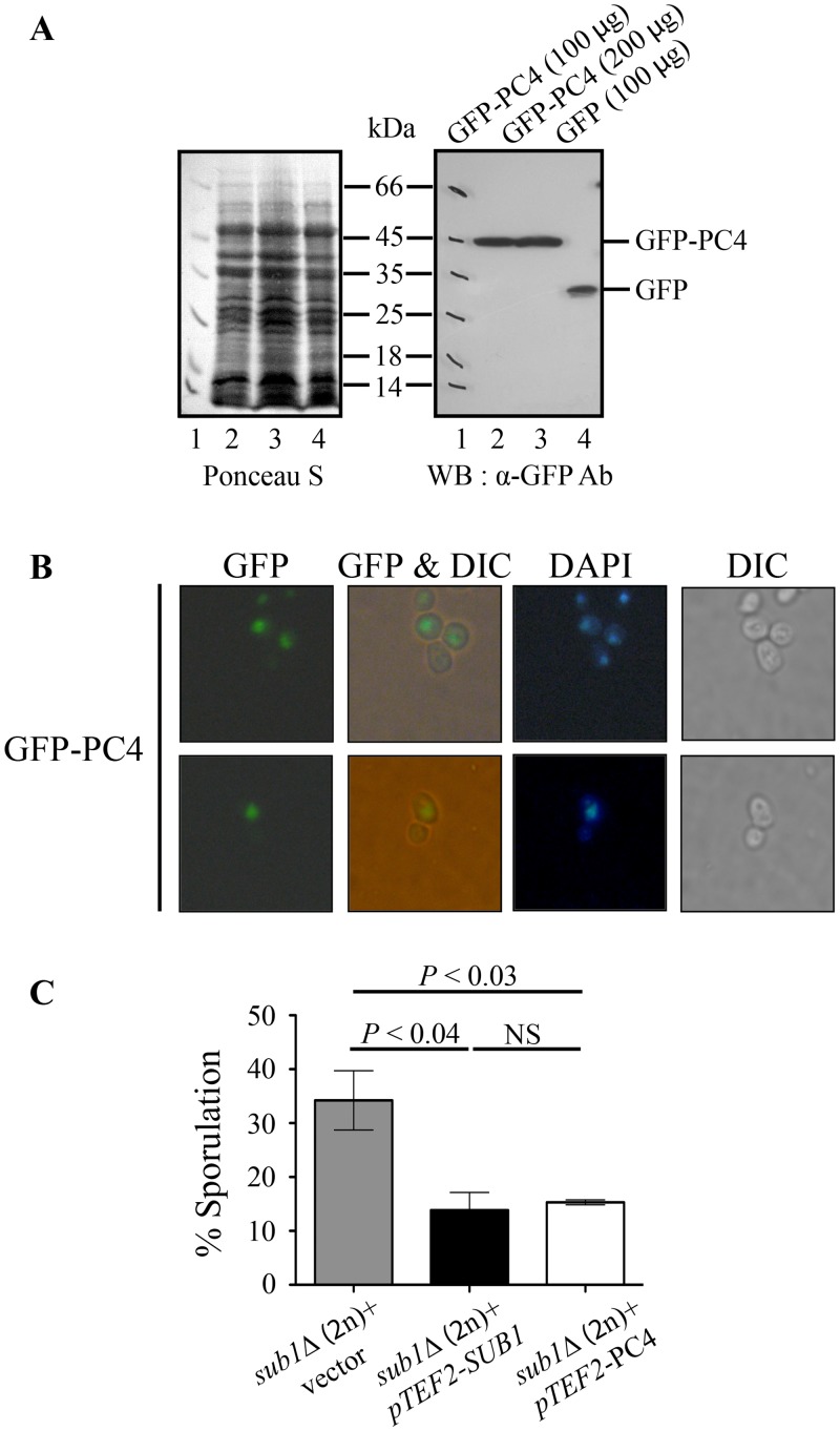 Fig 7