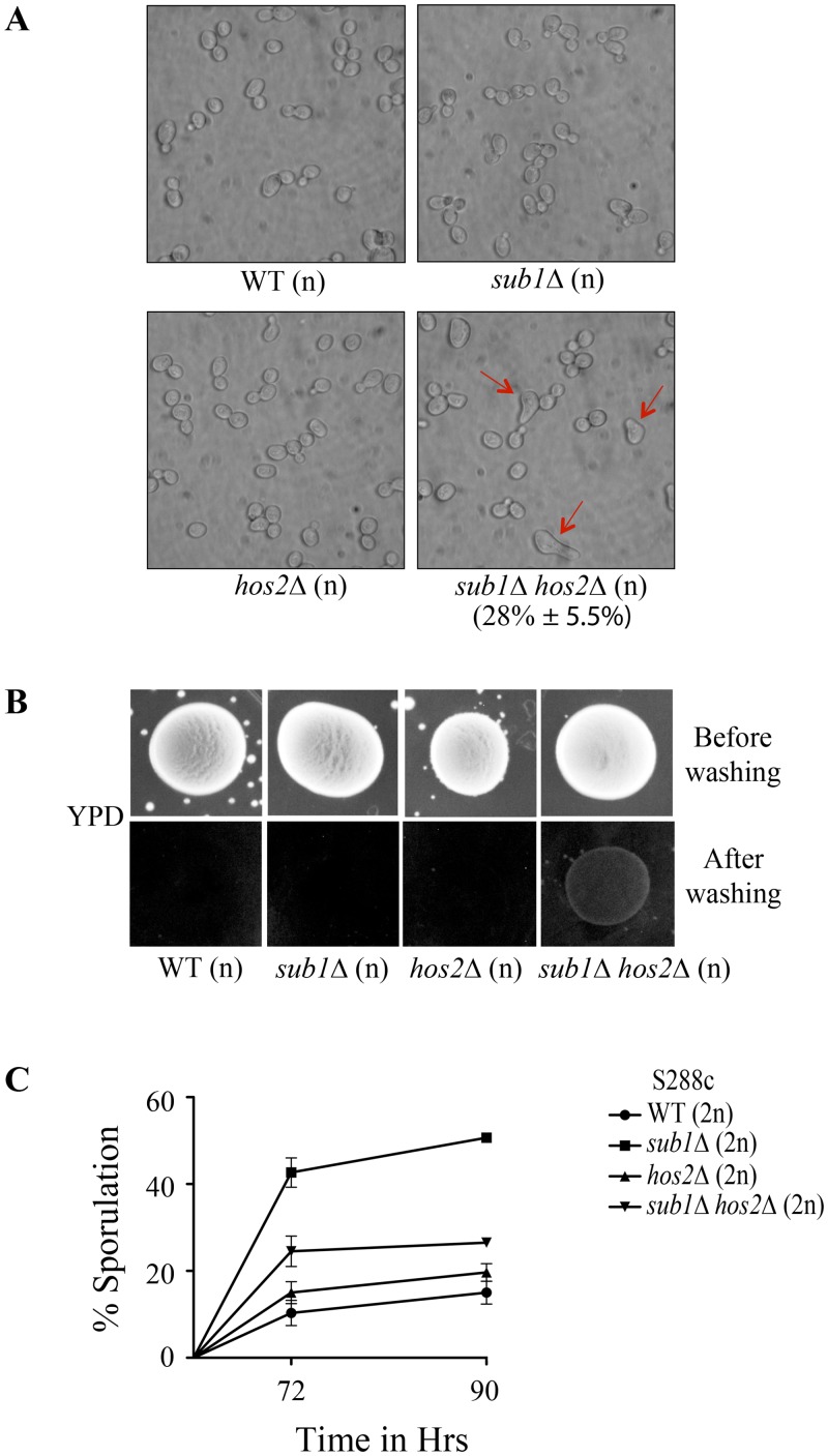 Fig 6