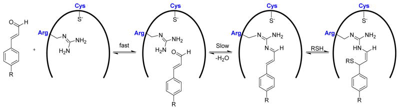 Fig. 19