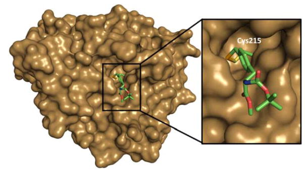 Fig. 23