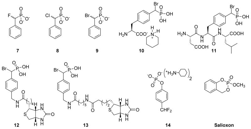 Fig. 7