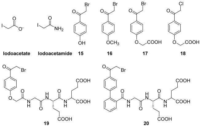 Fig. 10