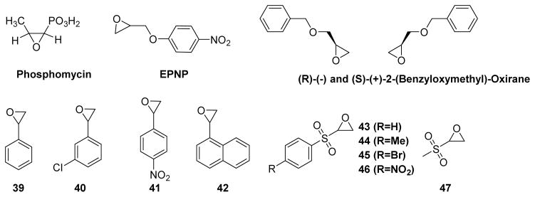 Fig. 21