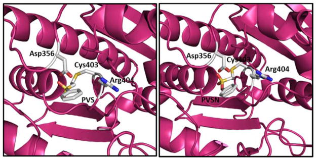 Fig. 13