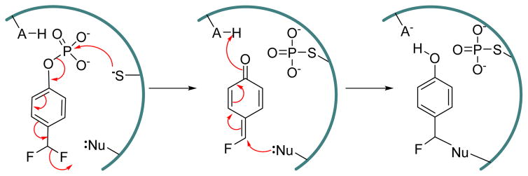 Fig. 9