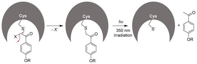 Fig. 11