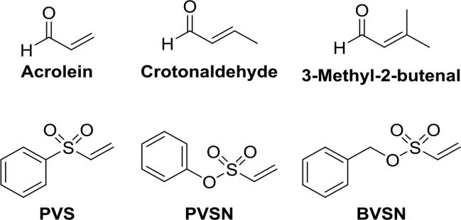 Fig. 12