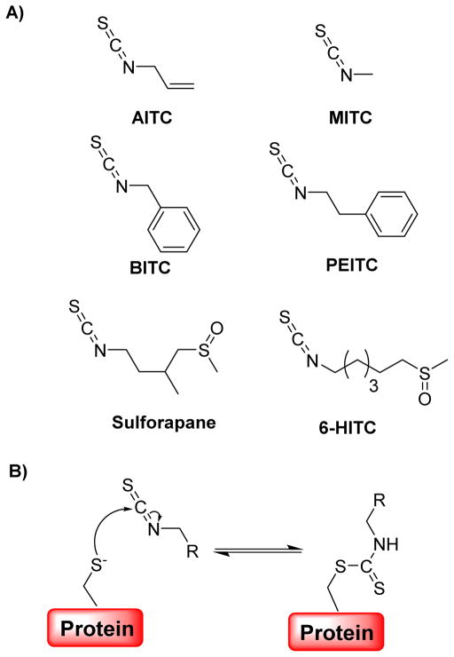 Fig. 20