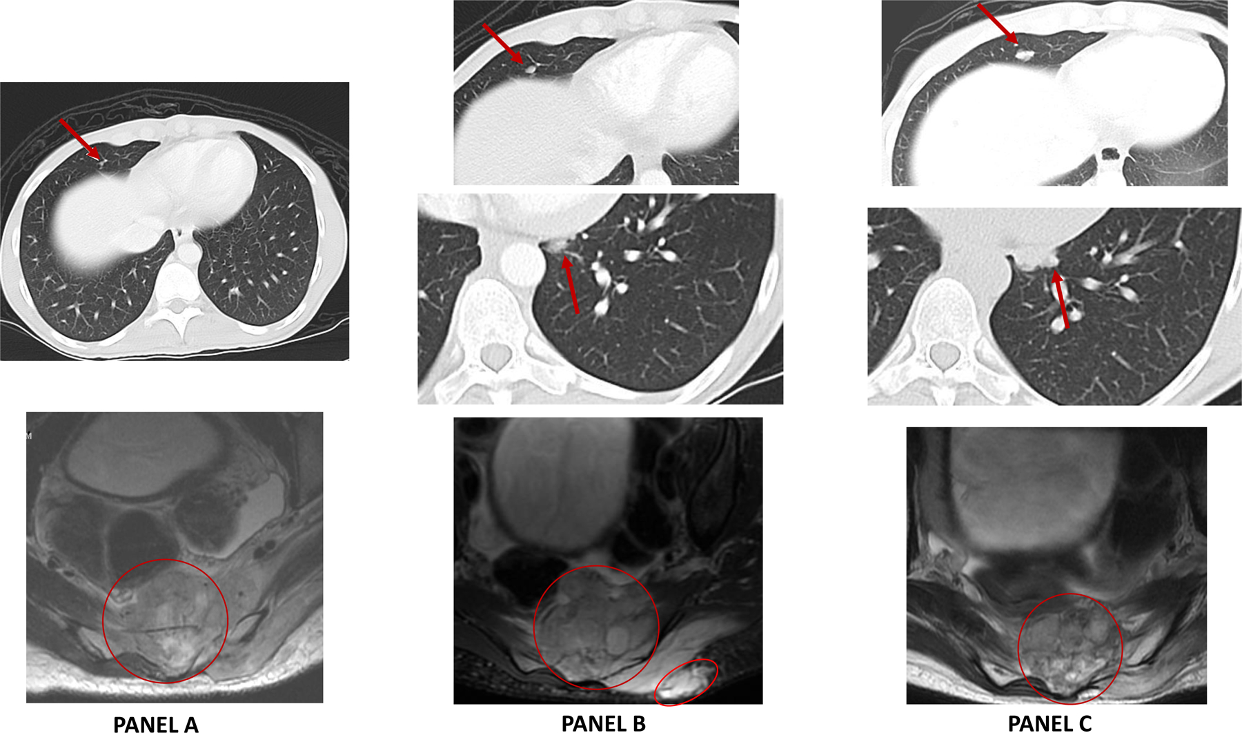 Figure 1: