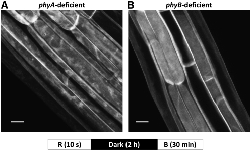 Figure 12.