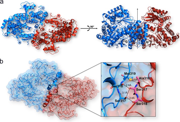 FIGURE 5.