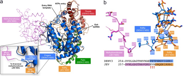 FIGURE 7.