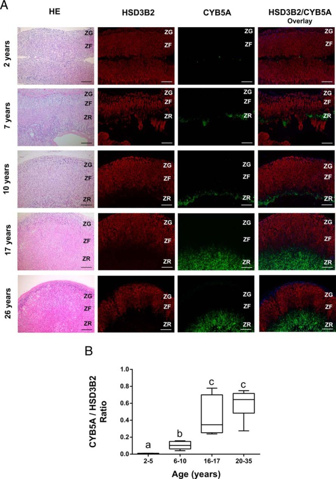 Figure 3.