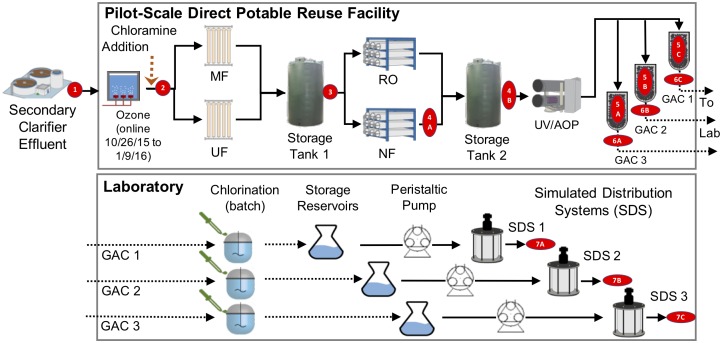 FIGURE 1