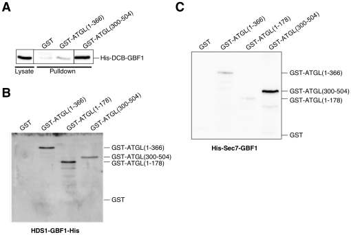 Figure 6