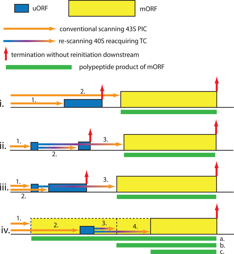 Fig 3.