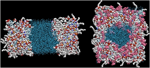 FIGURE 3