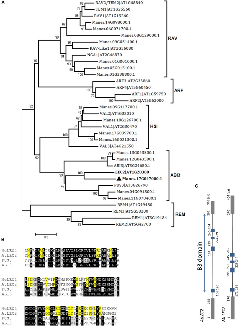 FIGURE 3