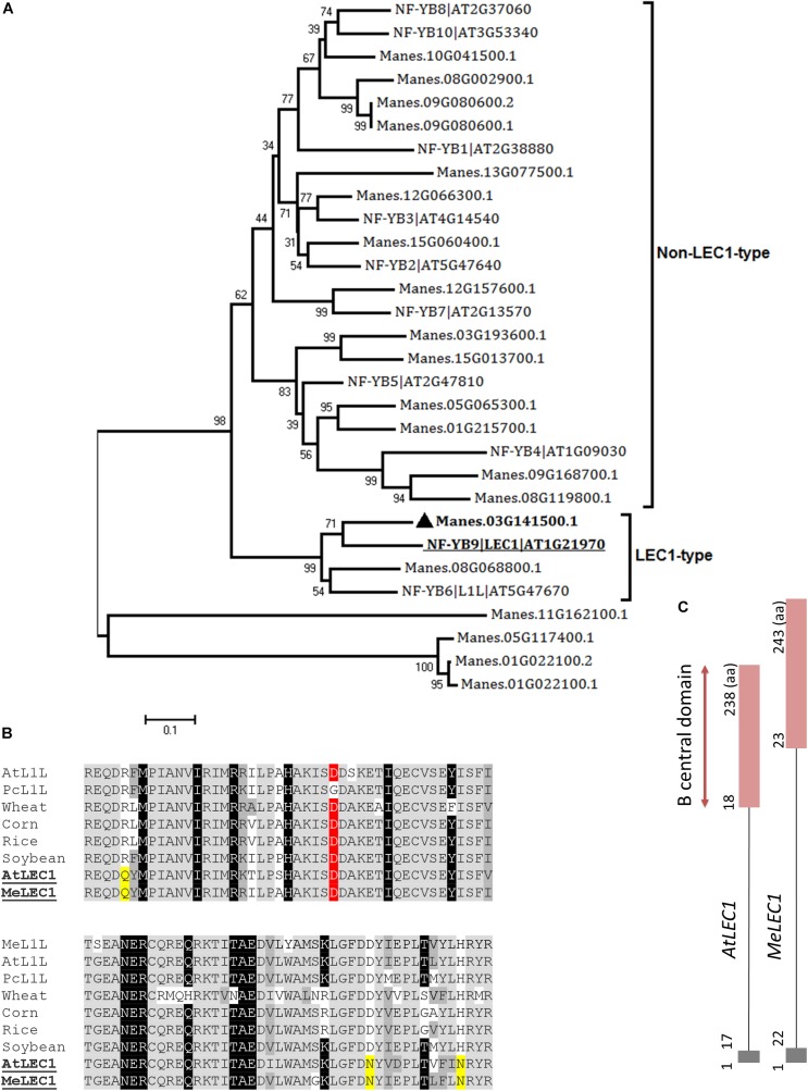 FIGURE 2