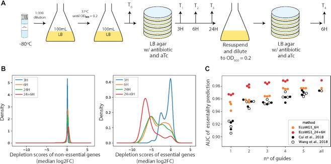 Figure 2.