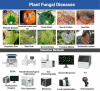 Image, graphical abstract