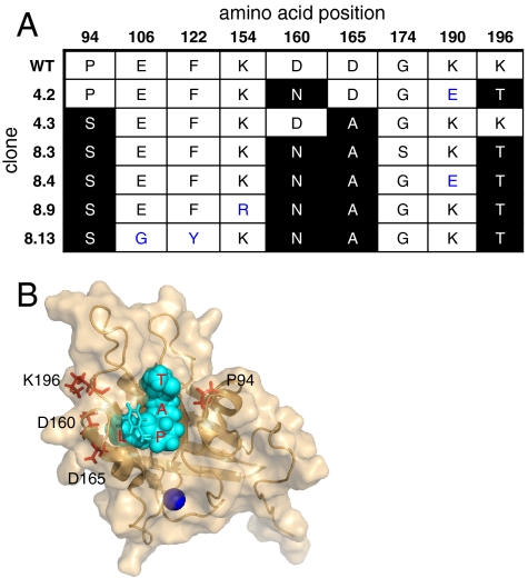 Fig. 4.