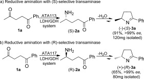 Scheme 2